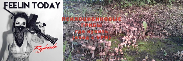 стафф Кукмор